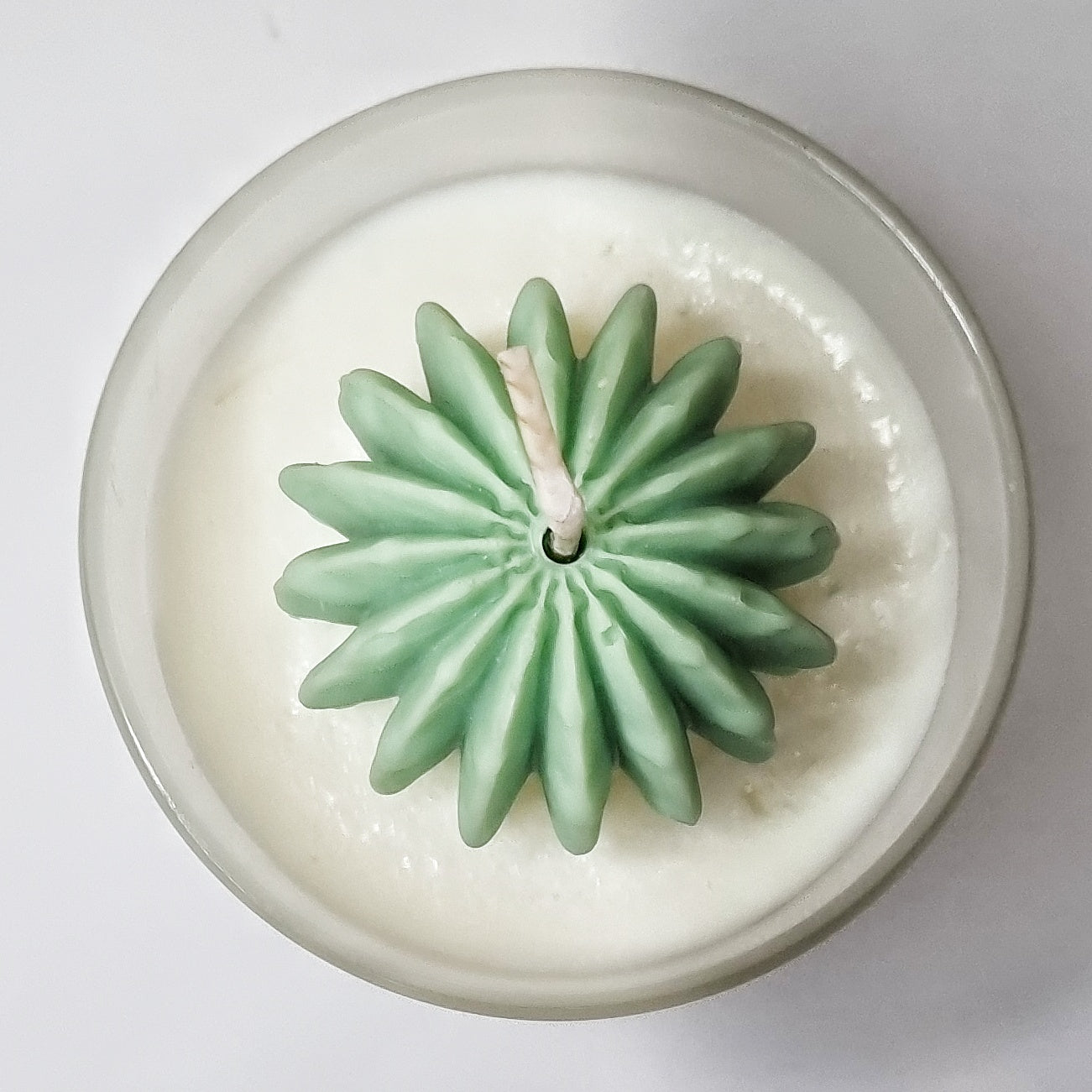 Light my Cactus geurkaars - 250 gram - 50 branduren - 8 x 9 cm