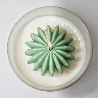 Light my Cactus geurkaars - 250 gram - 50 branduren - 8 x 9 cm