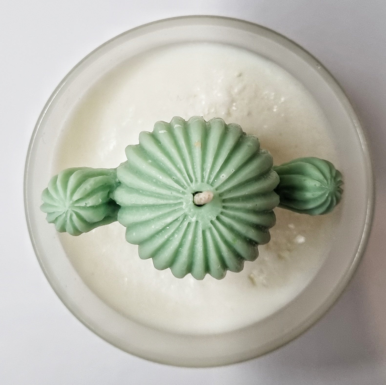Happy Cactus geurkaars - 250 gram - 50 branduren - 8 x 9 cm